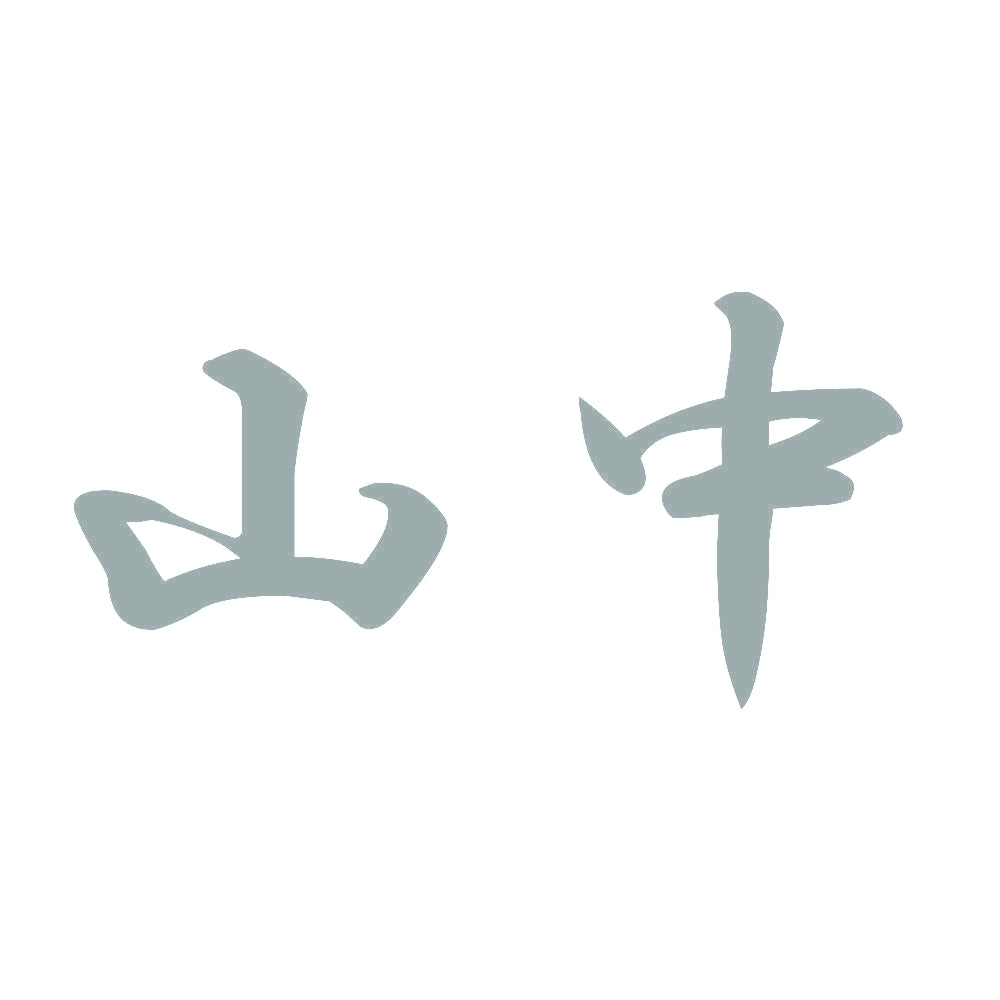山中 10