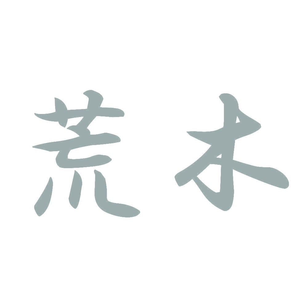 荒木 10