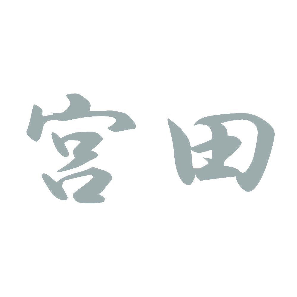 宮田 10