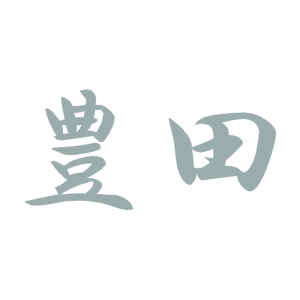 豊田 10