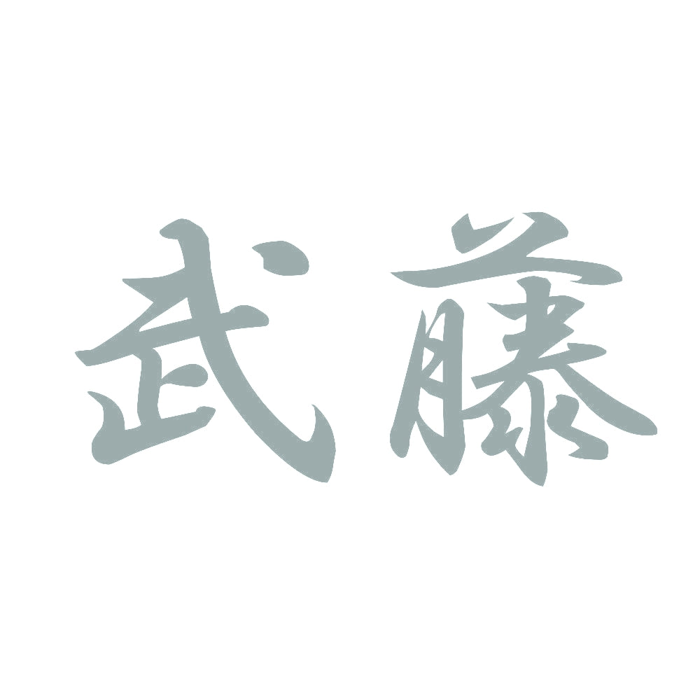 武藤 10