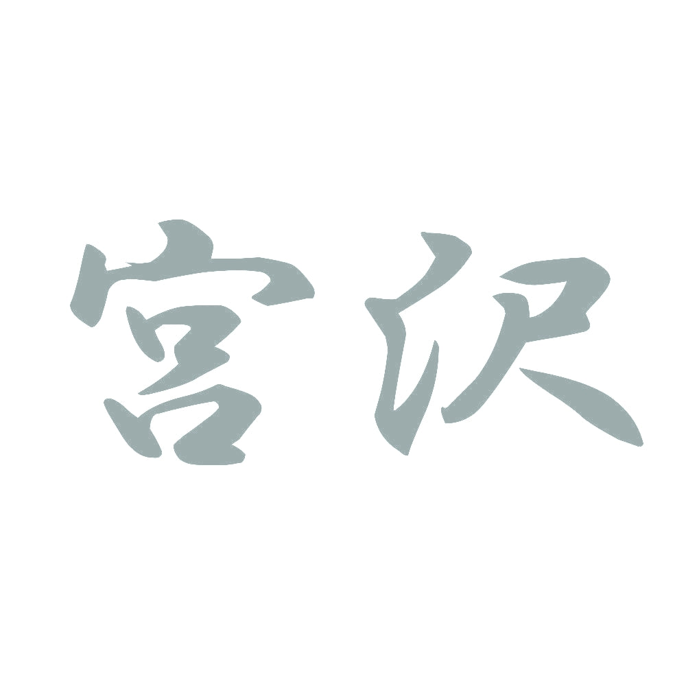 宮沢 10