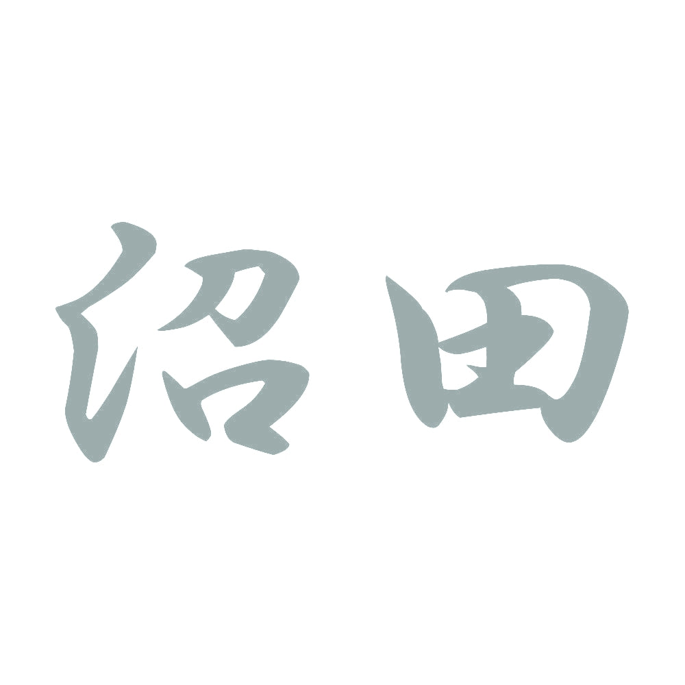 沼田 10