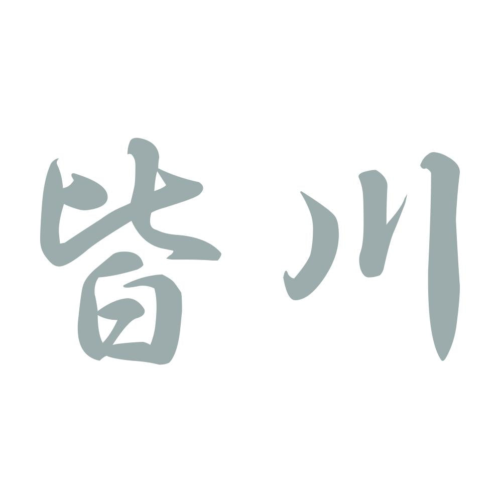 皆川 10