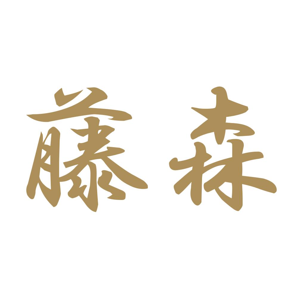藤森 9