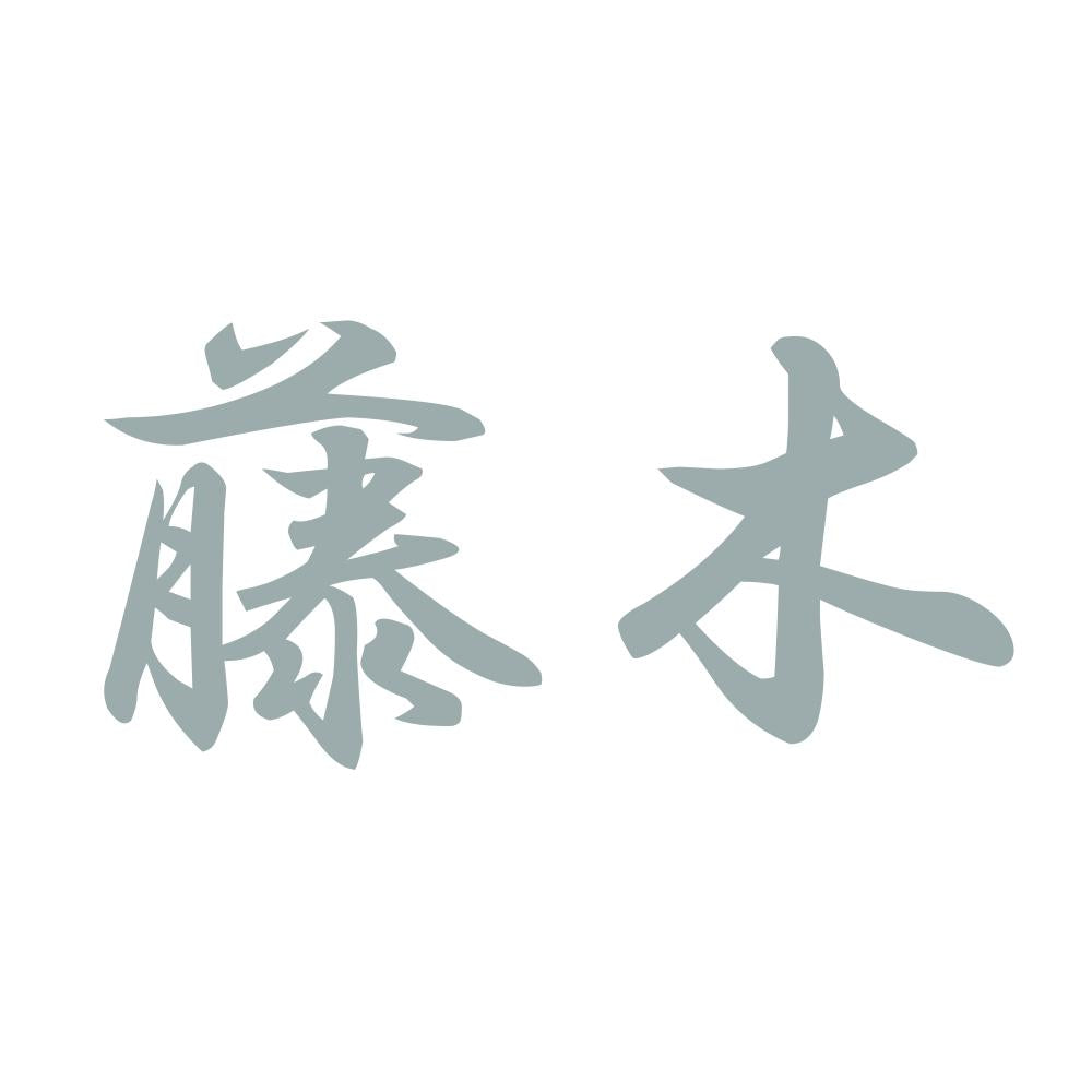 藤木 10