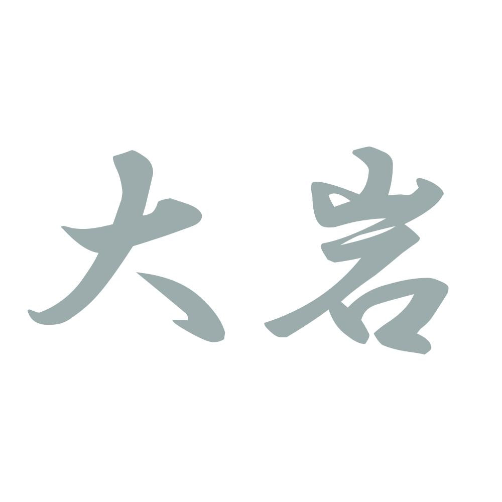 大岩 10