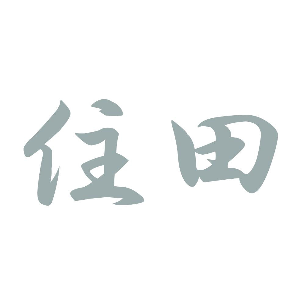 住田 10