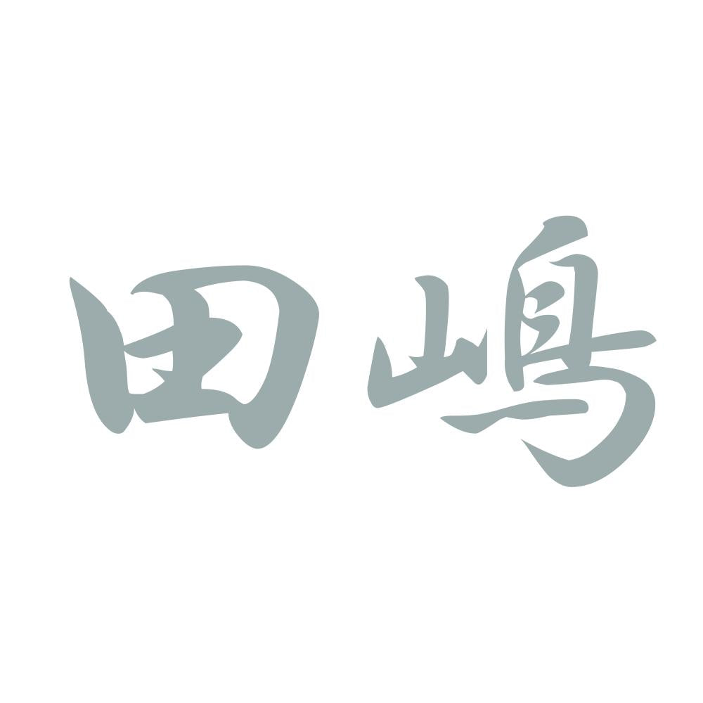 田嶋 10