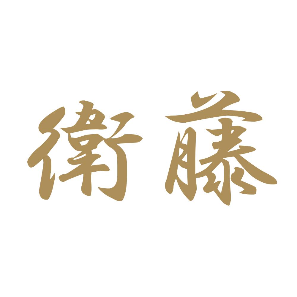 衛藤 9