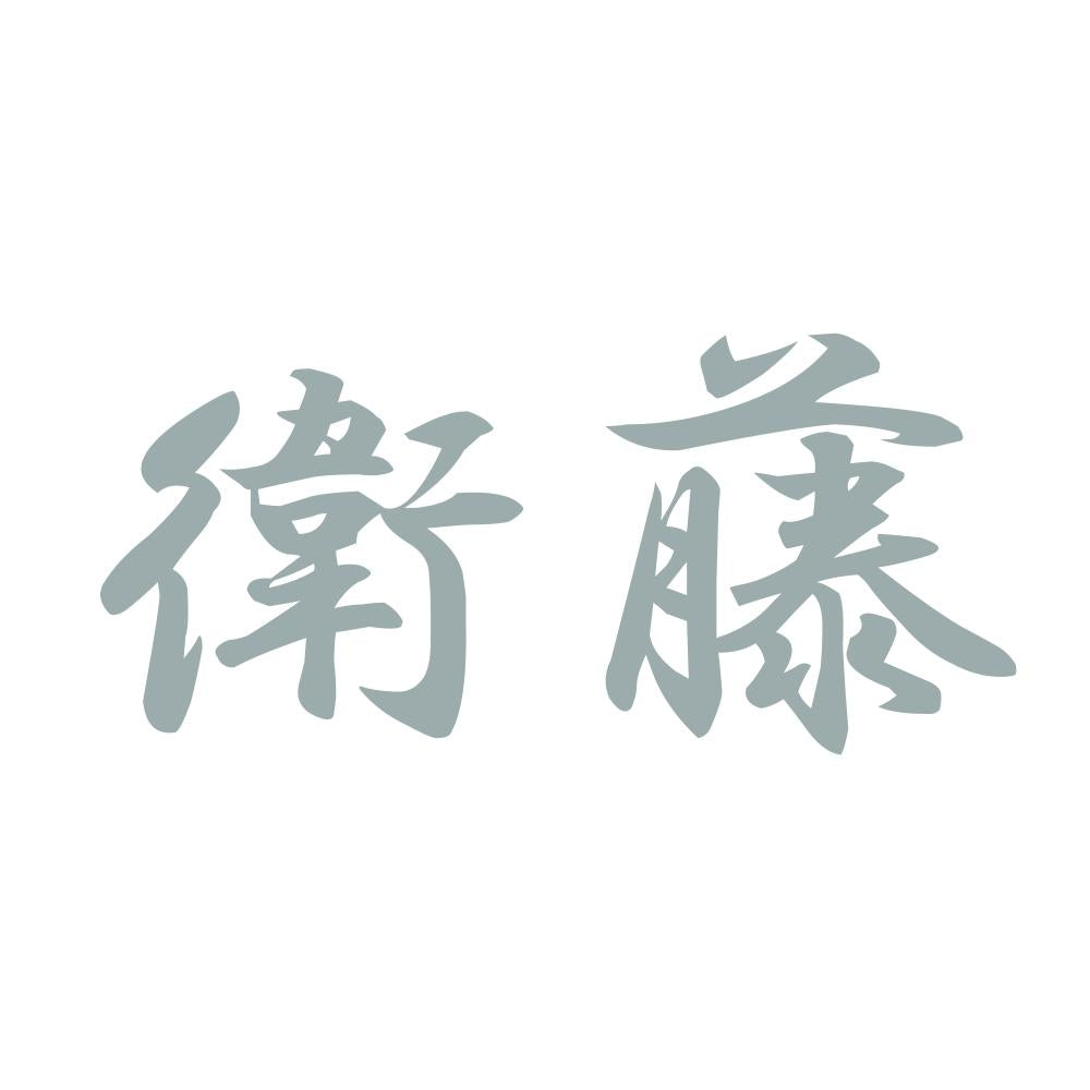 衛藤 10