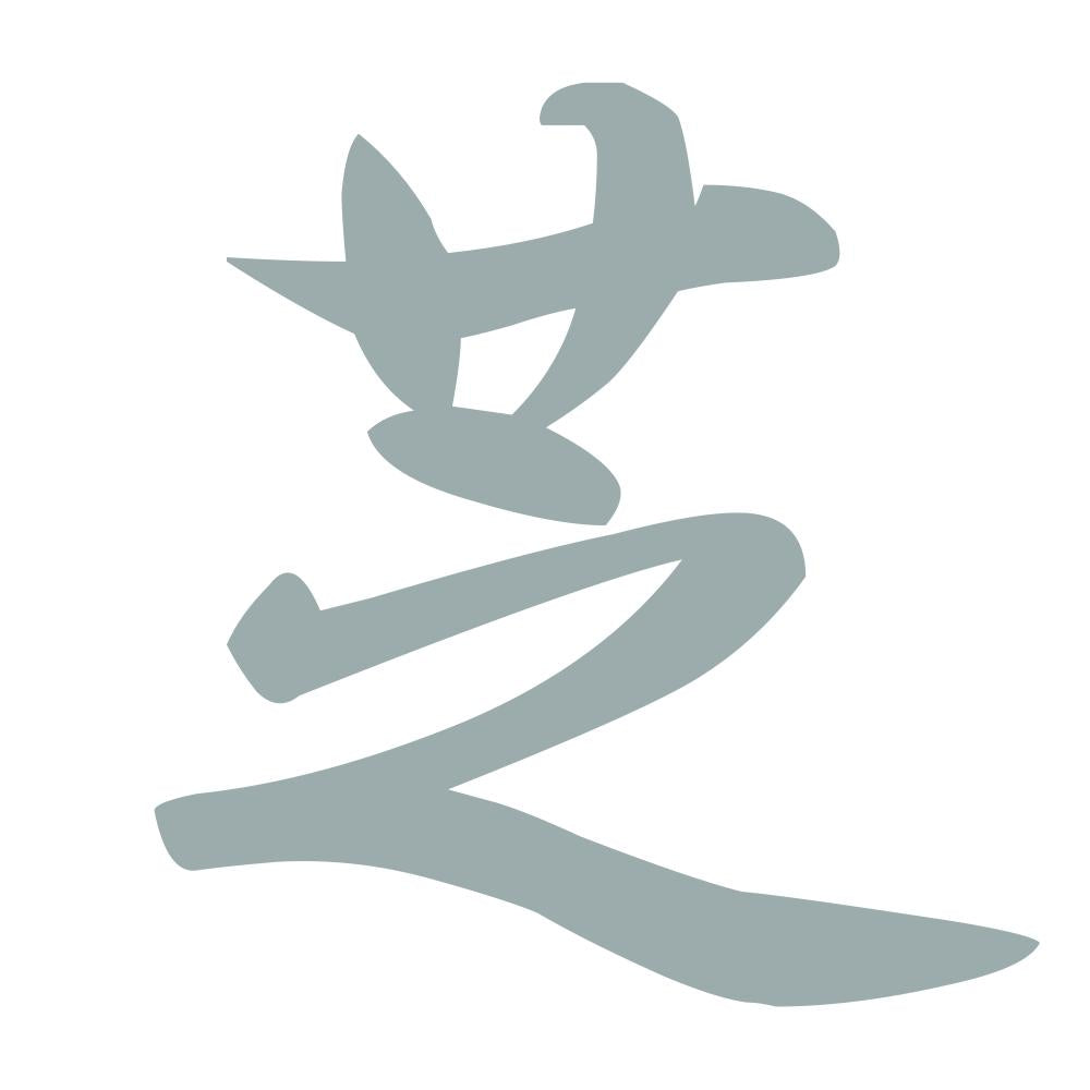 芝 10