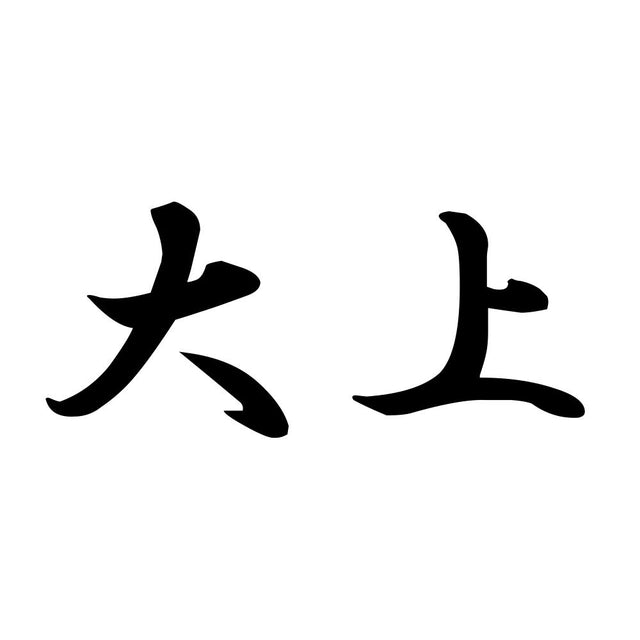 大上