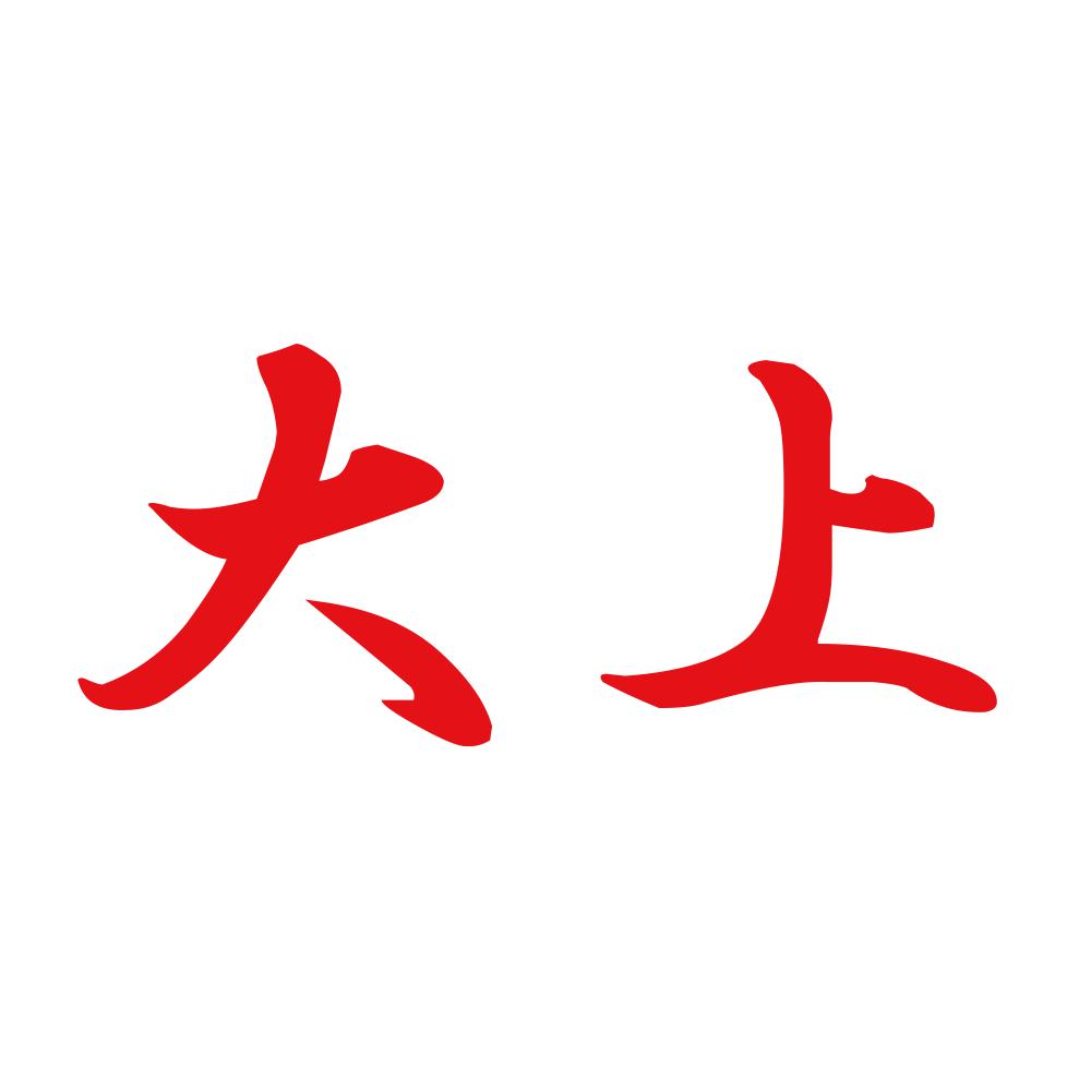 大上 8