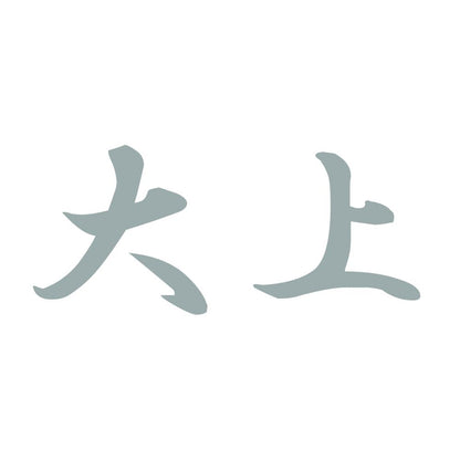 大上 10