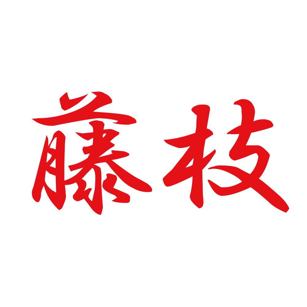 藤枝 8