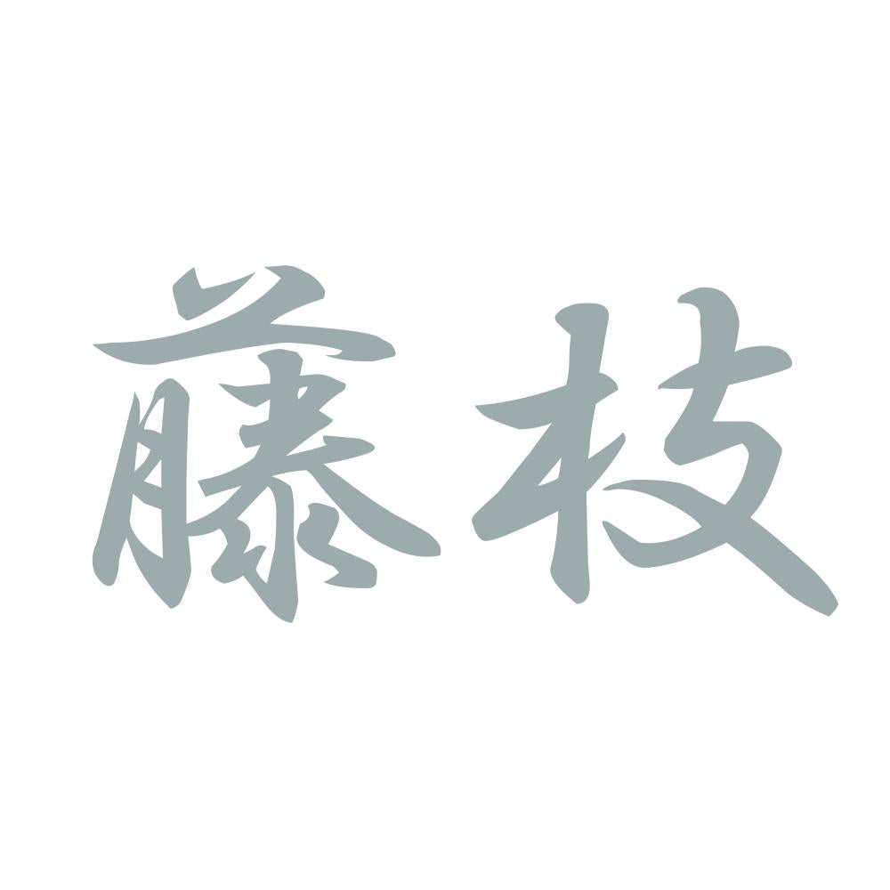 藤枝 10