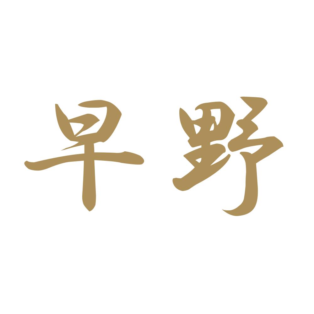 早野 9