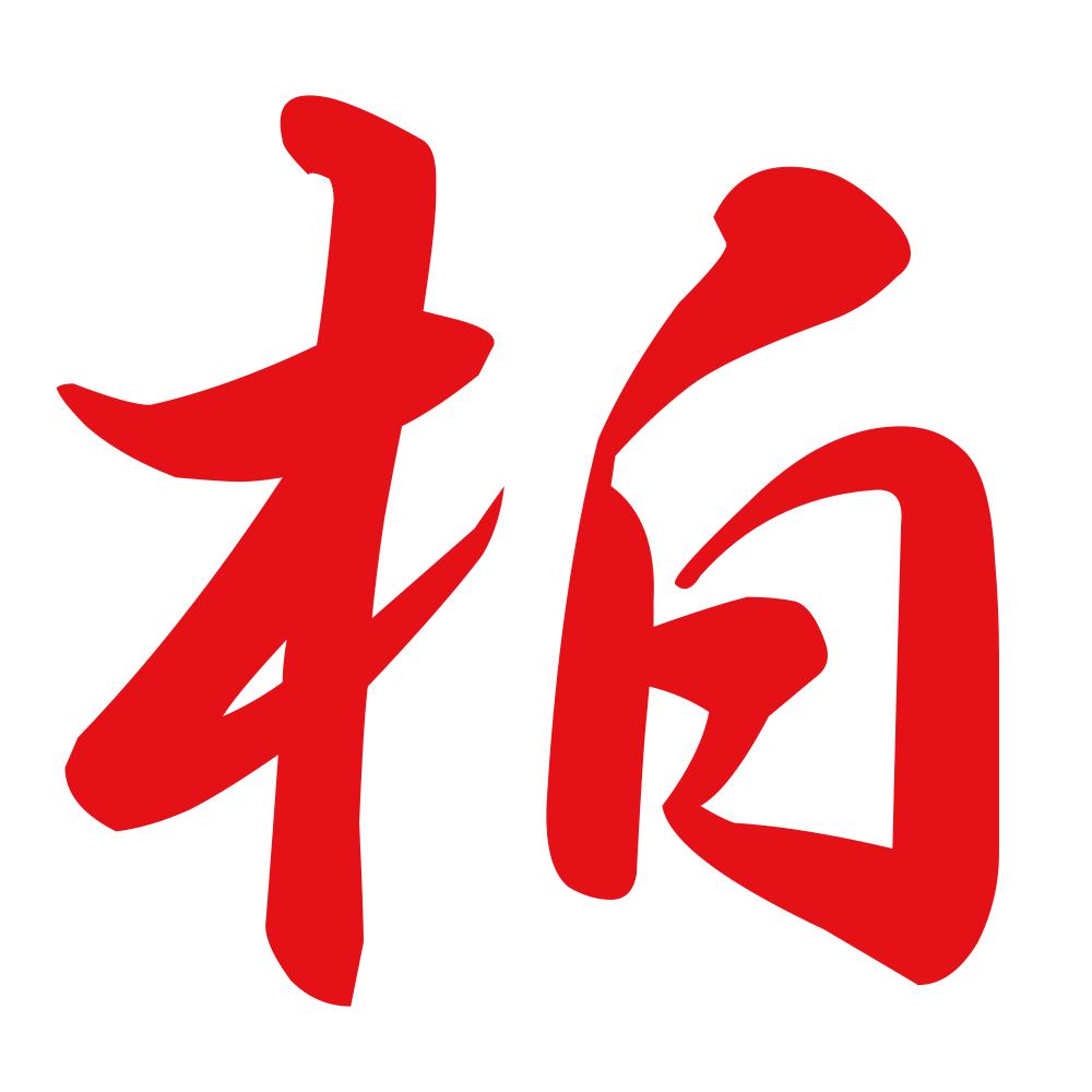 柏 8