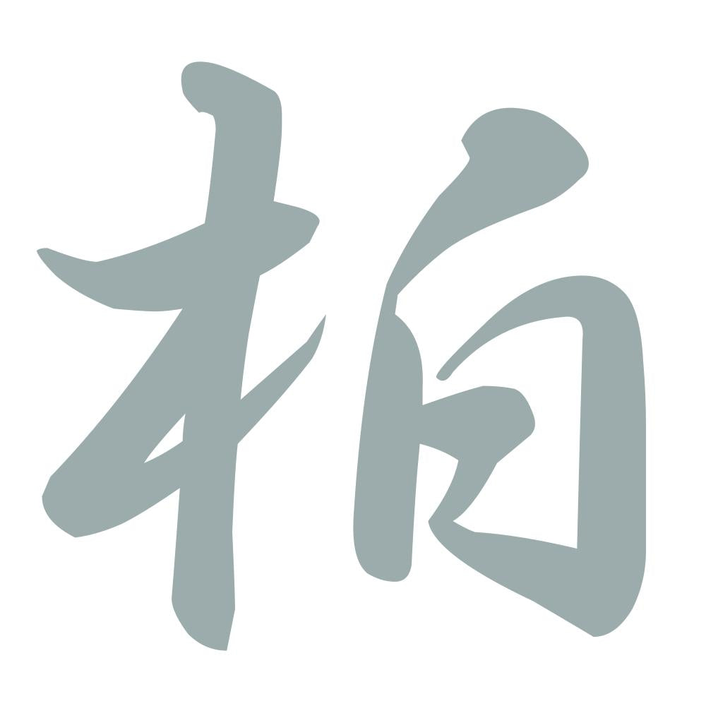 柏 10