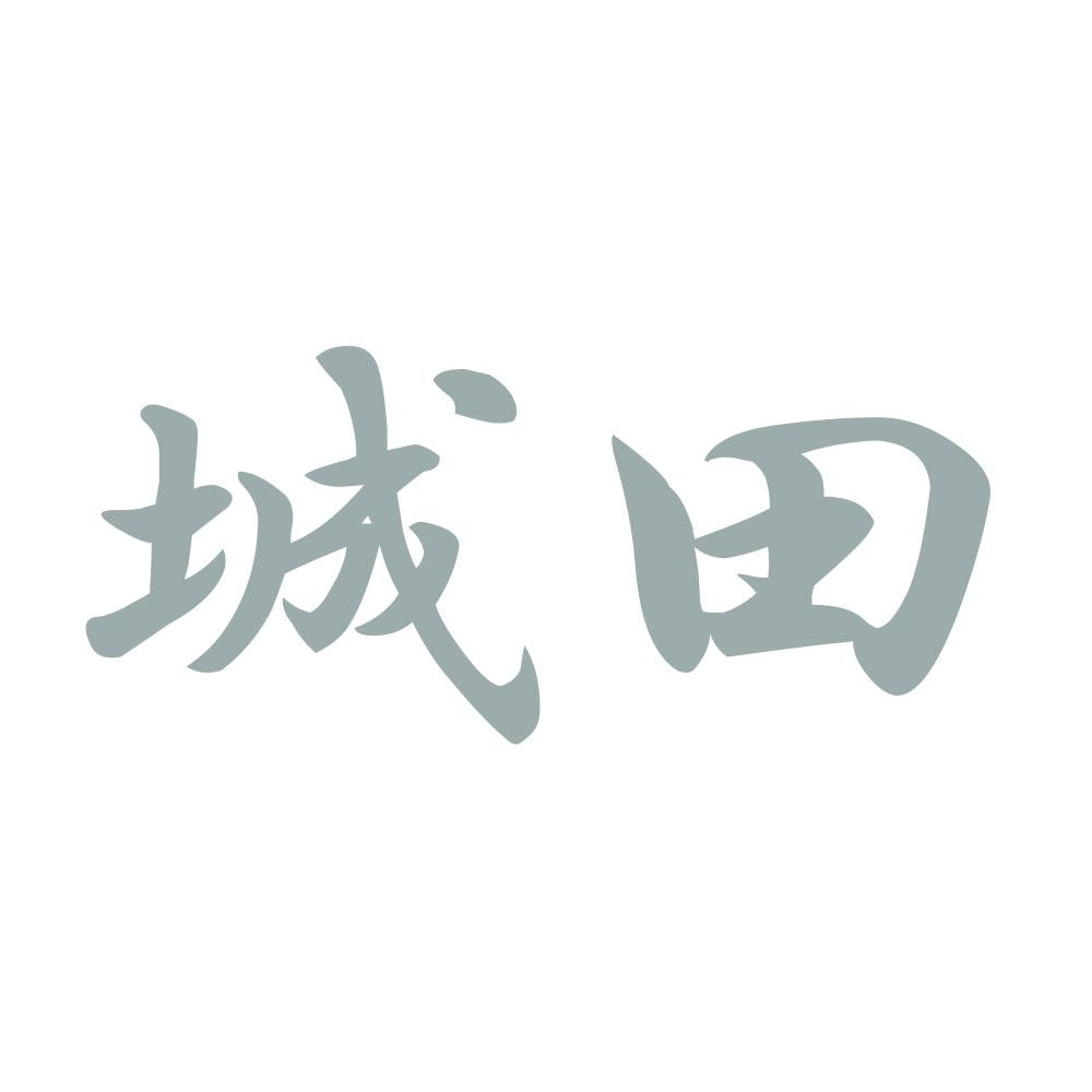 城田 10