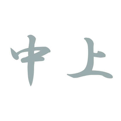 中上 10