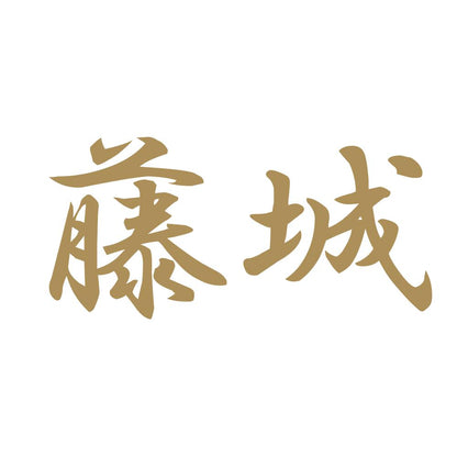 藤城 9