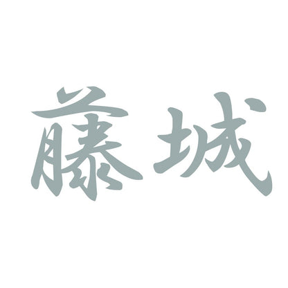 藤城 10