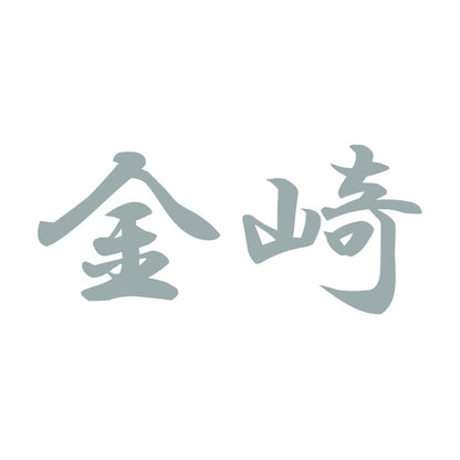 金崎 10