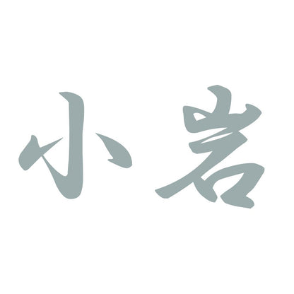 小岩 10