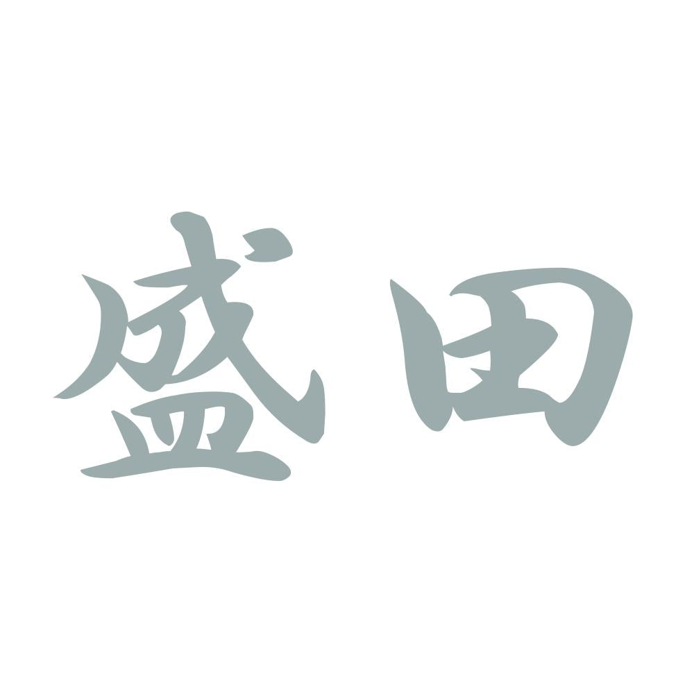 盛田 10