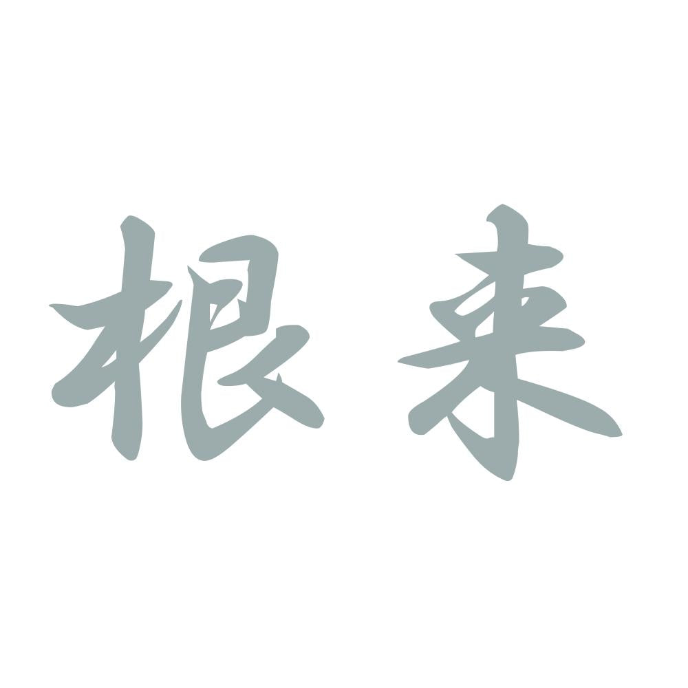 根来 10
