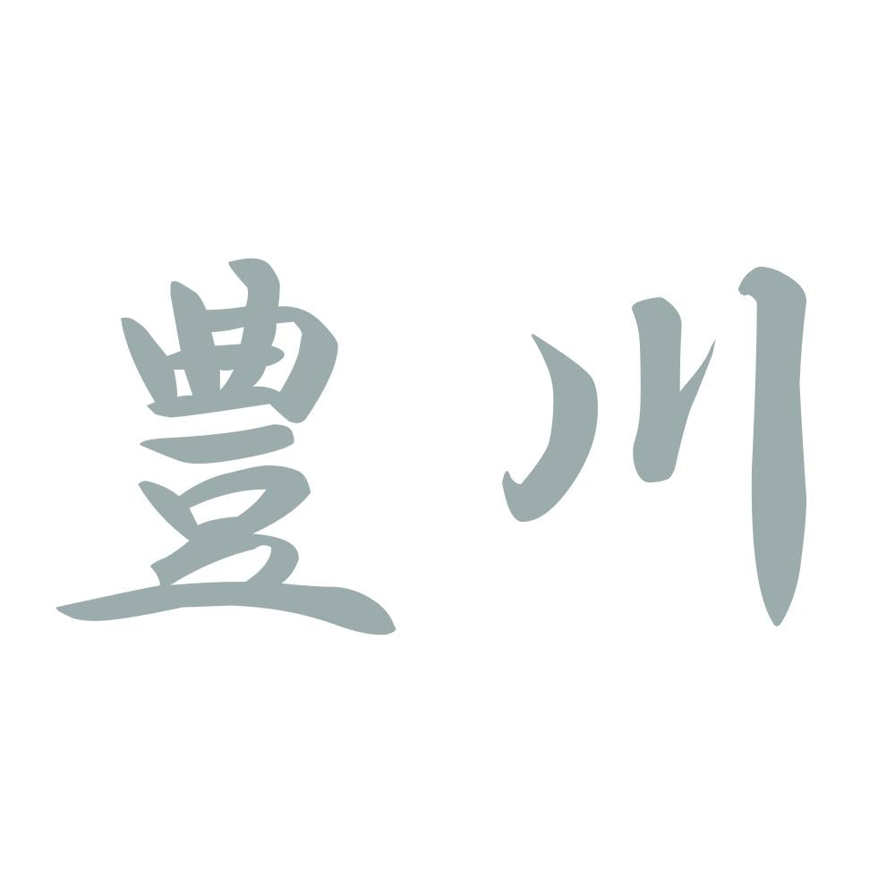 豊川 10