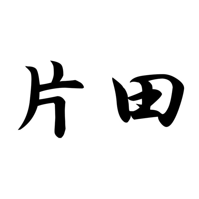片田