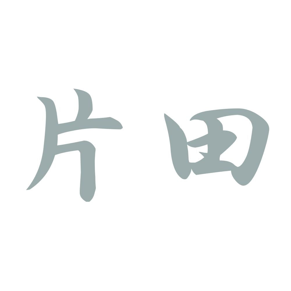 片田 10
