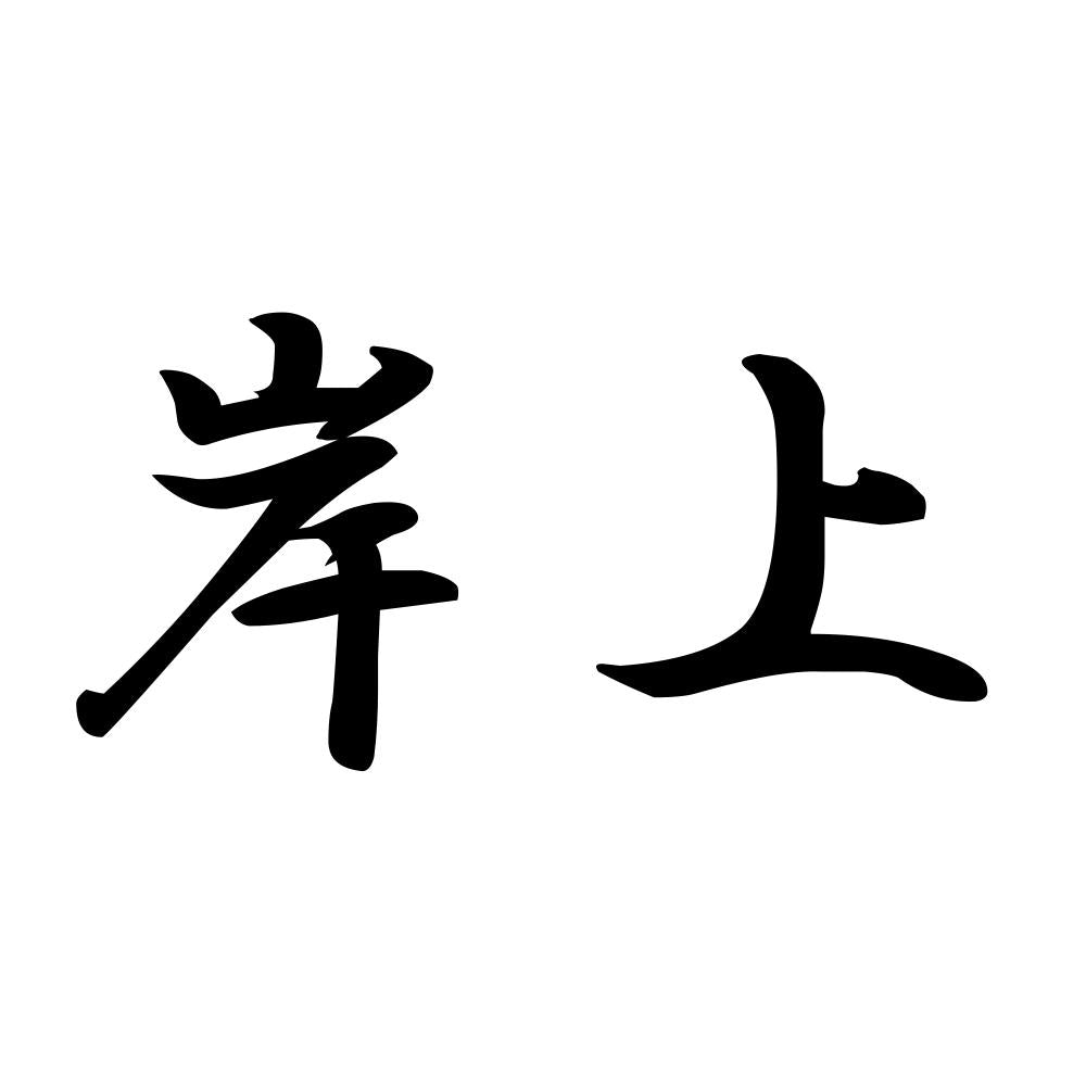 岸上