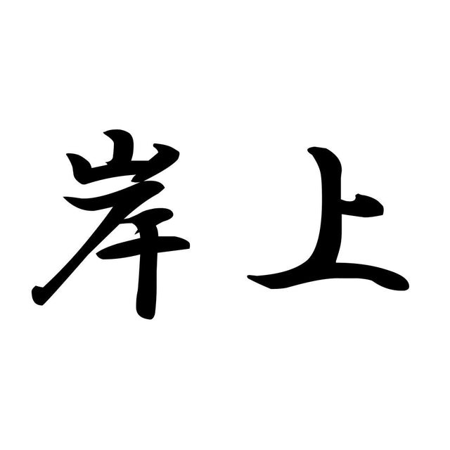 岸上
