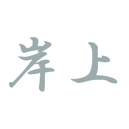 岸上 10
