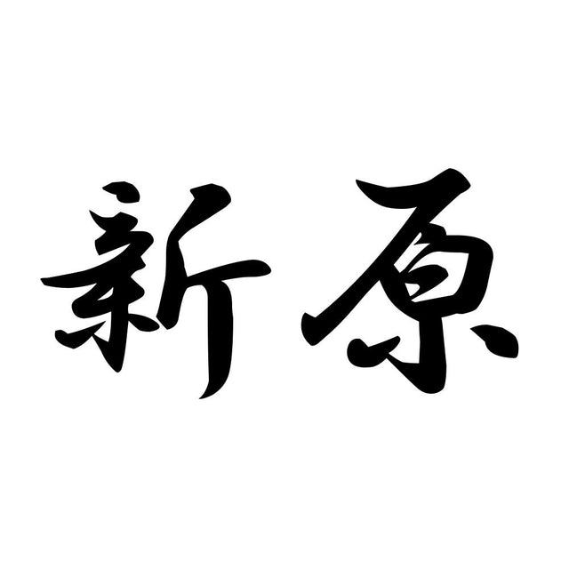 新原