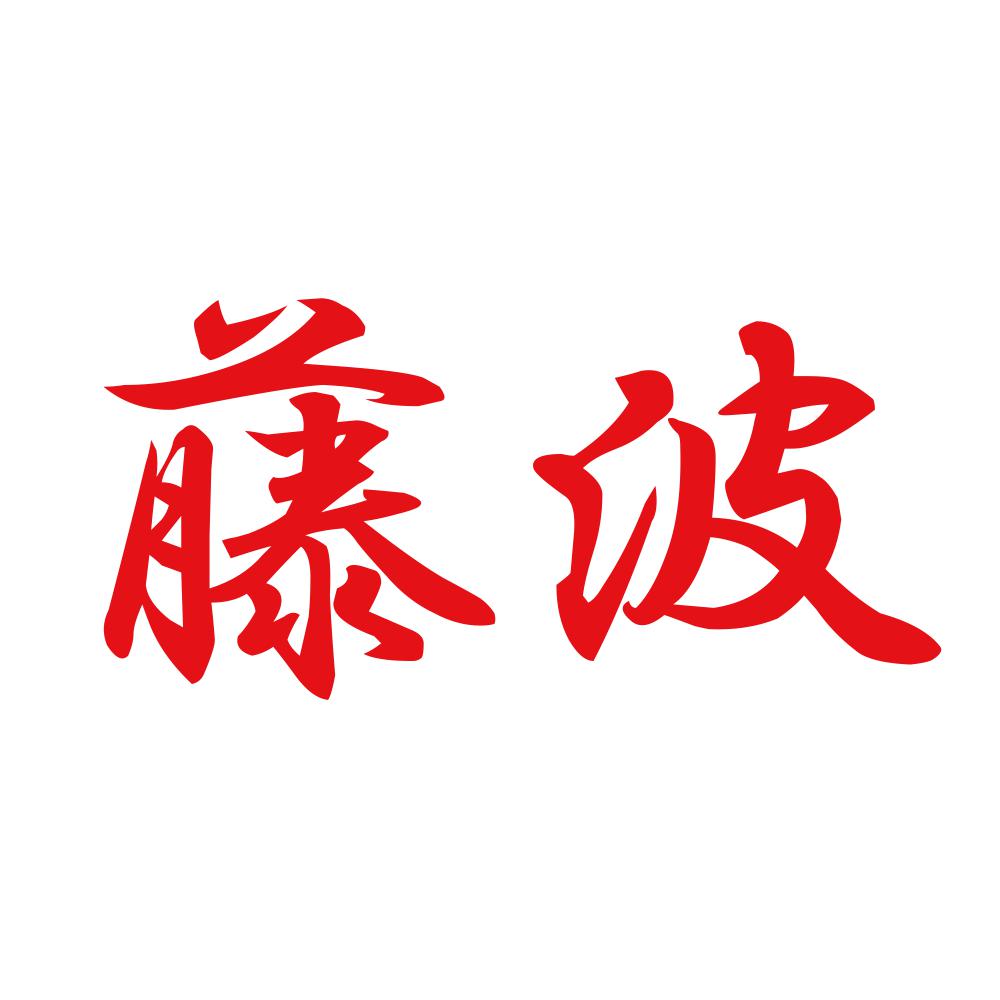 藤波 8