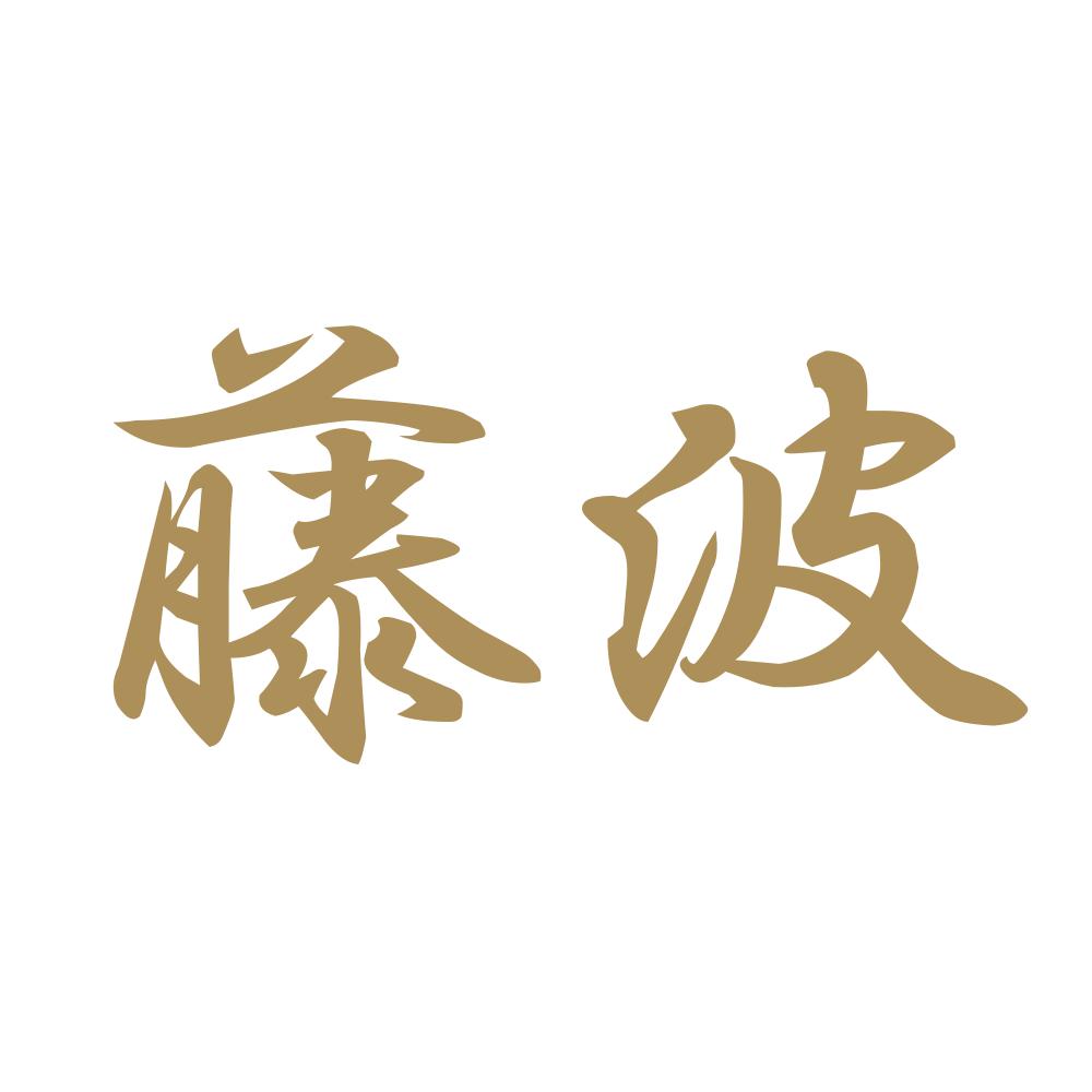 藤波 9