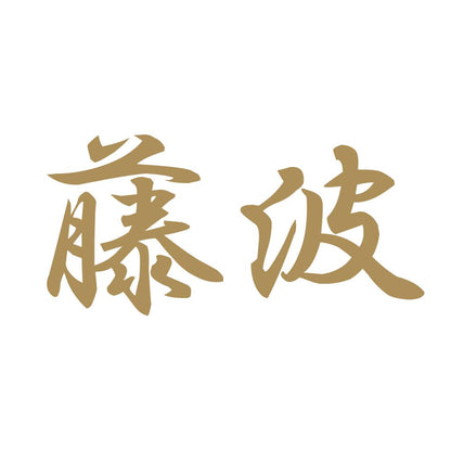 藤波 9