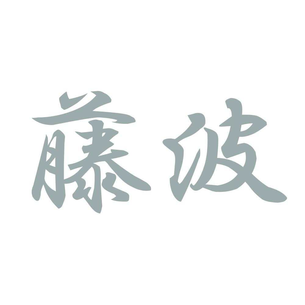 藤波 10