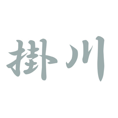 掛川 10