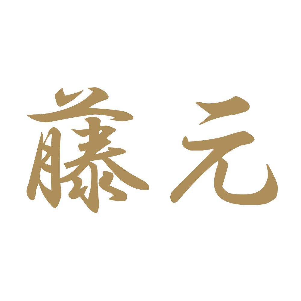 藤元 9