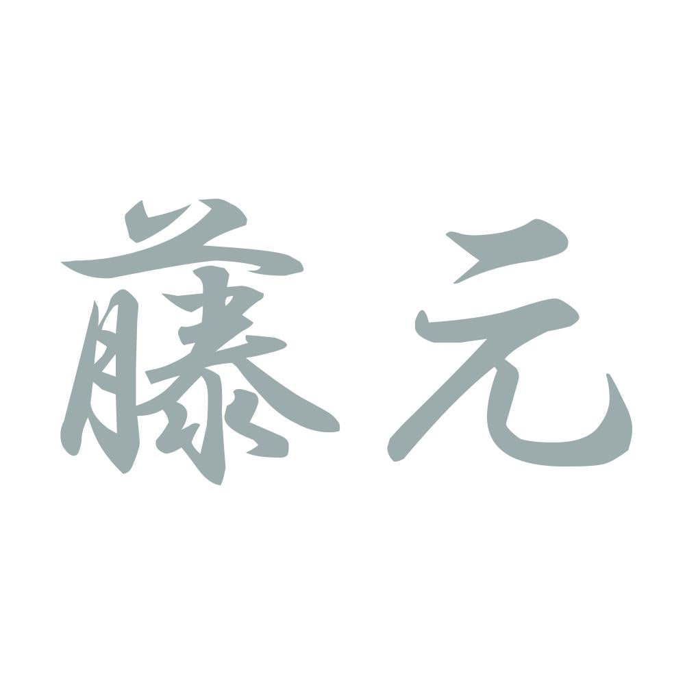 藤元 10