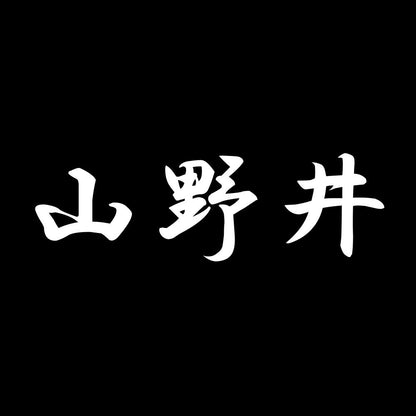 山野井 7