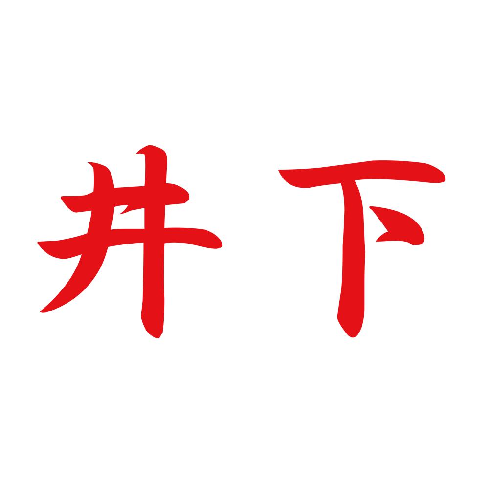 井下 8