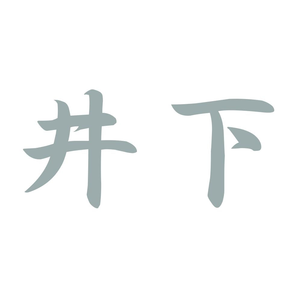 井下 10