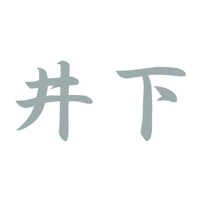 井下 10